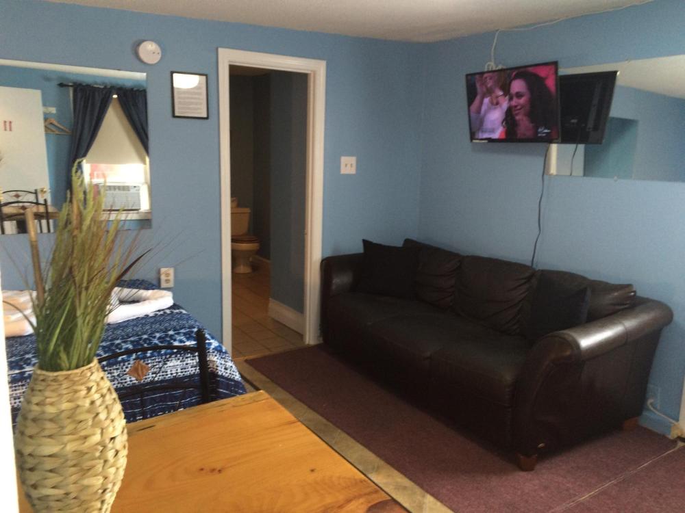 A hotel room with a sofa, TV, bed, and plant.